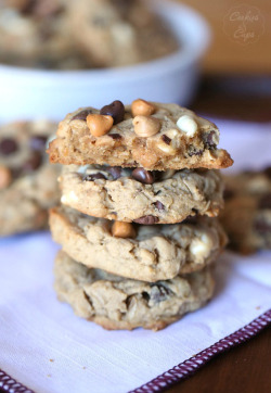 do-not-touch-my-food:  5 Chip Cookies 