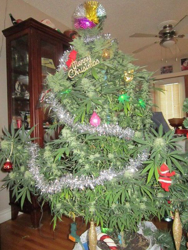 dominicdontgiveafuck:Merry Fuckin Christmas 