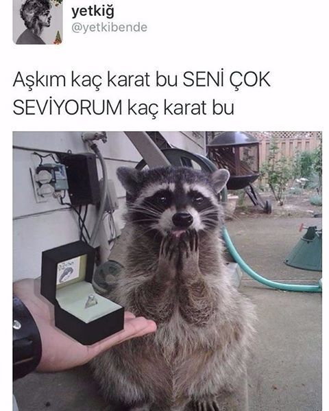 Aşkım kaç karat bu SENİ...