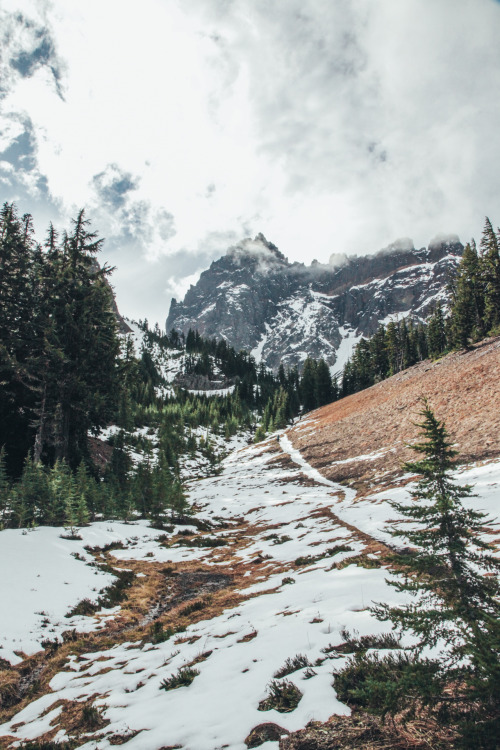 Three-Fingered Jack