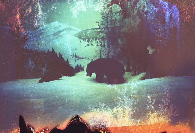 marmaladegirl90:  sin título by alison scarpulla on Flickr.