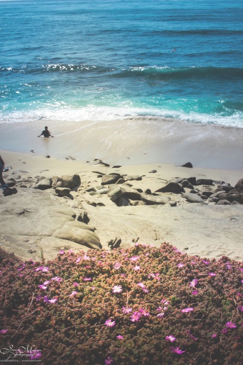 Summer Daze | La Jolla Cove, San Diego CAFlickr | 500px | Instagram