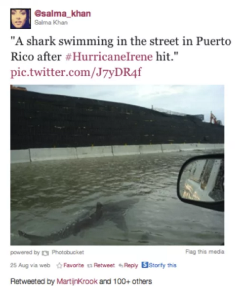 buzzfeed:This shark is a dedicated storm-chaser.