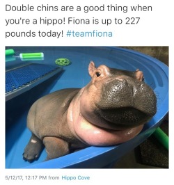 lipoils: fiona is beautiful and doing great. i love her