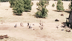 dontlookbackcarl:  The Walking Dead Meme Eight Scenes [1/8] → “Pretty Much Dead