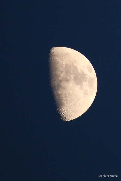 Tried and True: Tonight’s Moon, in memory of the crew of the Space Shuttle Challenger; RIP&