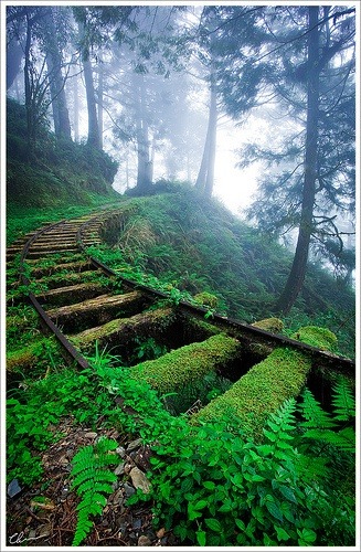 deepsection:  letsgoforahike:  Let’s Go For A Hike  Why not?  23/12/13