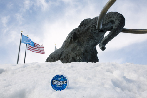 Colossal sized confidence hitting the slopes @MammothMountain. @ussnowboarding @usfreeskiing LET’S D