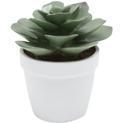 M&amp;Co Artificial Succulent Plant Pot ❤ liked on Polyvore (see more succulent pots)