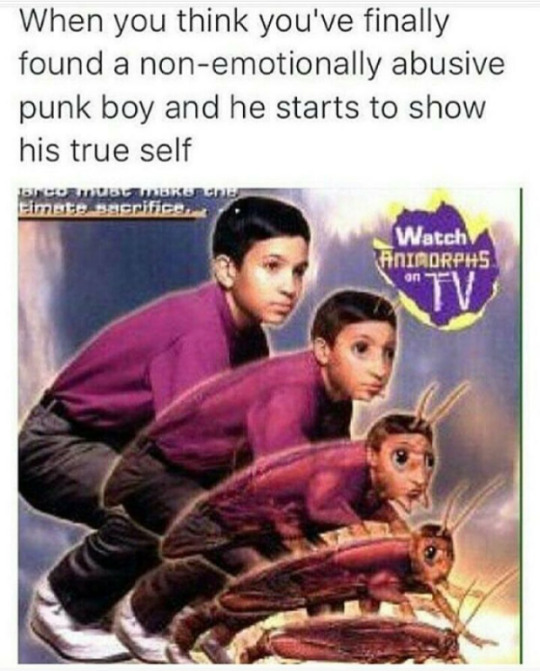 Tumblr media