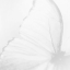 white-angel0
