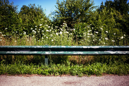 Marine Park, Brooklyn, NYC ◕ alec mcclure  ◔ photoblog 