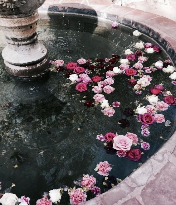 Flowers In Water Explore Tumblr Posts And Blogs Tumgir Flowers In Water Explore Tumblr Posts And Blogs Tumgir