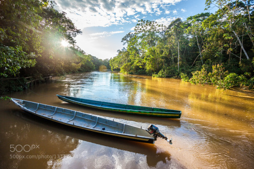 hariesnew:  Río Tiputini