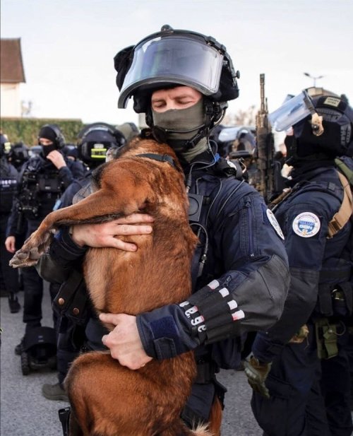 doggos-with-jobs: Tactical hug before a mission