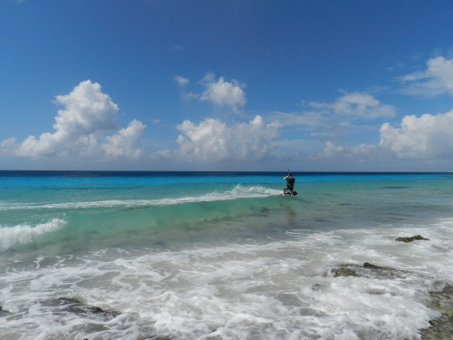 Day 3 Bonaire 2015