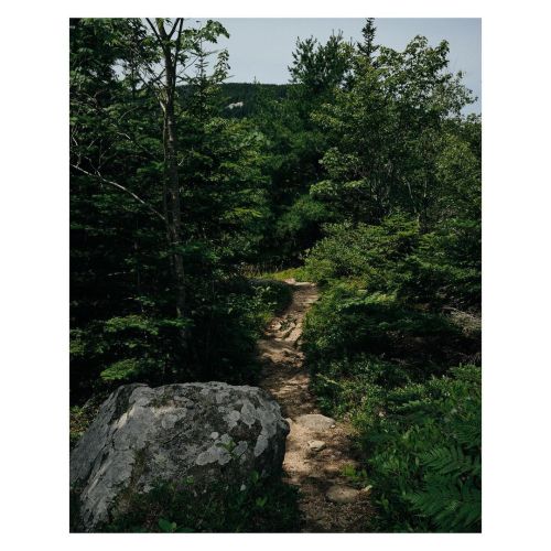 a path to water / always a welcome sight ~ Acadia region - July 2021 . . . . . . . . . . . . #fujifi