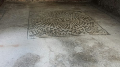 diogenesthesassmaster:Floor mosaics from Pompeii