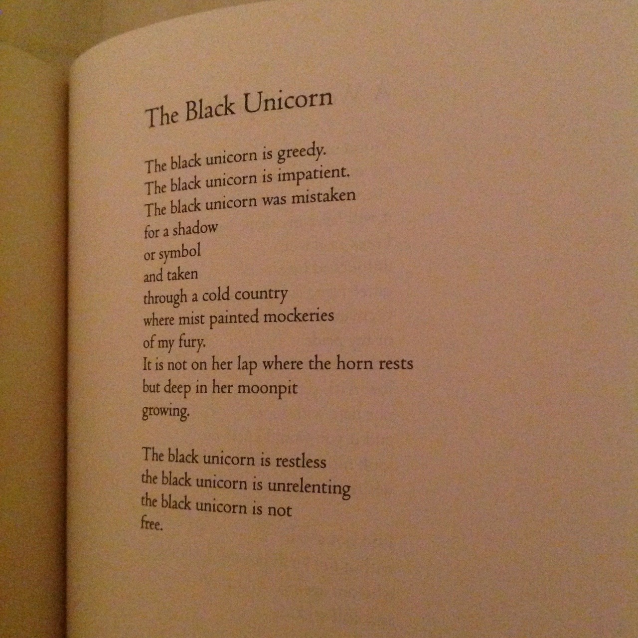 12+ Audre Lorde Poetry Pictures