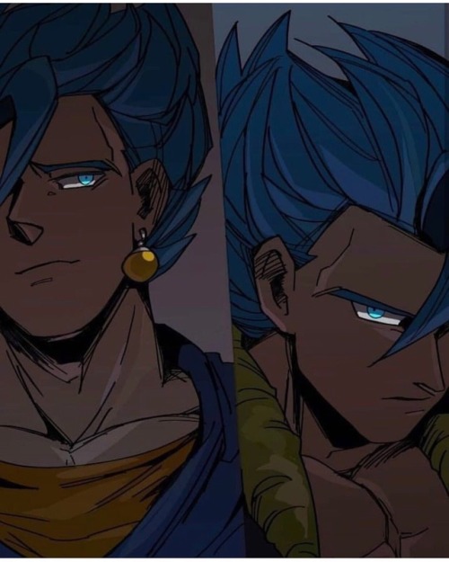 Vegito Or Gogeta?