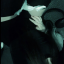 kittyvalentine22
