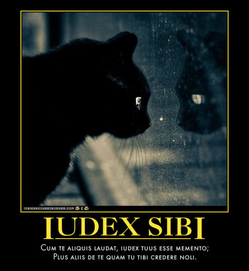 Iudex SibiCum te aliquis laudat, iudex tuus esse memento;Plus aliis de te quam tu tibi credere noli.