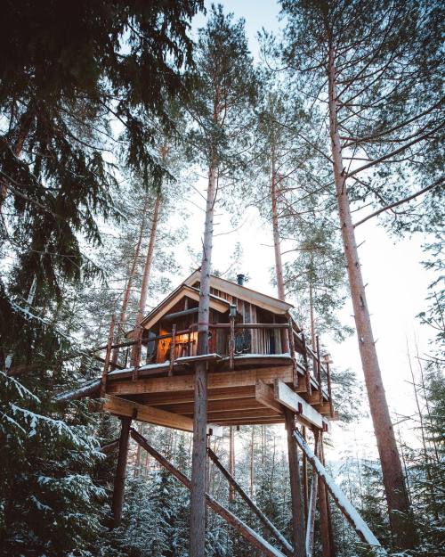 The Climber’s Hut is built in a pine forest, 7m above the ground on Helgøya island. The