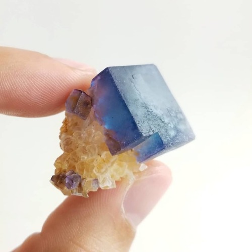 Blue fluorite over druzy quartz from Bingham, Socorro County, New Mexico - one of a few blue fluorit