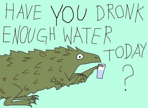 shittydinosaurdrawings:stay hydrate.
