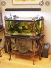 oarfjsh:so. how are we feeling about vintage fish tanks? 