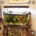 oarfjsh:so. how are we feeling about vintage fish tanks? 