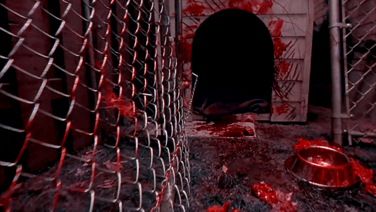 evildead2:GINGER SNAPS (2000) dir. John Fawcett