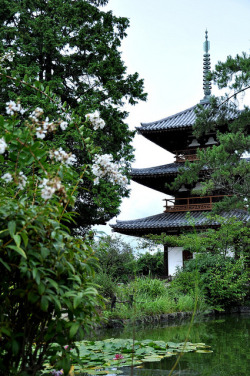 mizunokisu:  @Hokki-ji temple, Nara, 法起寺 by hyas_private on Flickr.