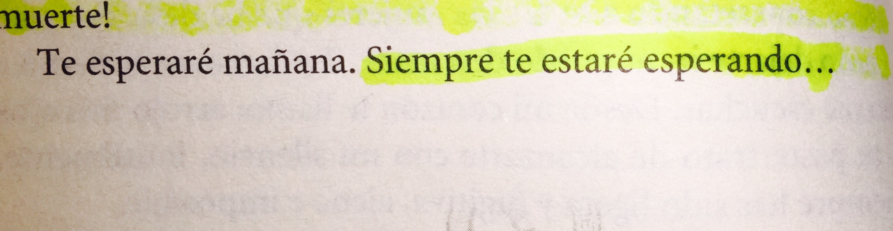 Del amor, yo solo me limito a leerlo. ۞