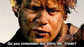 arwenns:lotr meme: 10 scenes [10/10] 