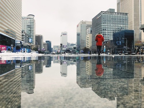 Gwanghwamun Plaza and Gyeongbukgung Palace on the first snow of the year.