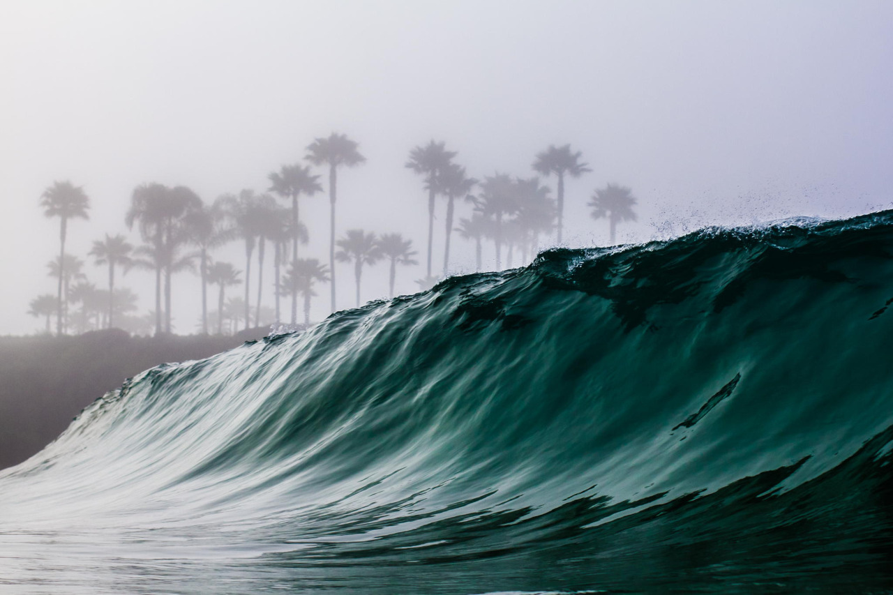 ponderation:  Moody Mornings by Anthony Renna   Photographer’s Instagram 