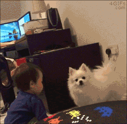 Tastefullyoffensive:  Pet Rejection Is The Worst Kind Of Rejection.