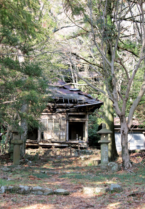 abandoned shrine in the woods