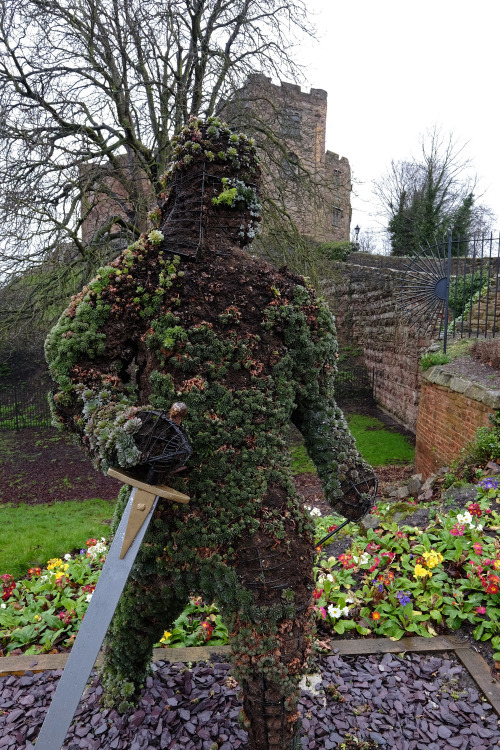 scavengedluxury:Knight of the flowers. Tamworth, February 2016.