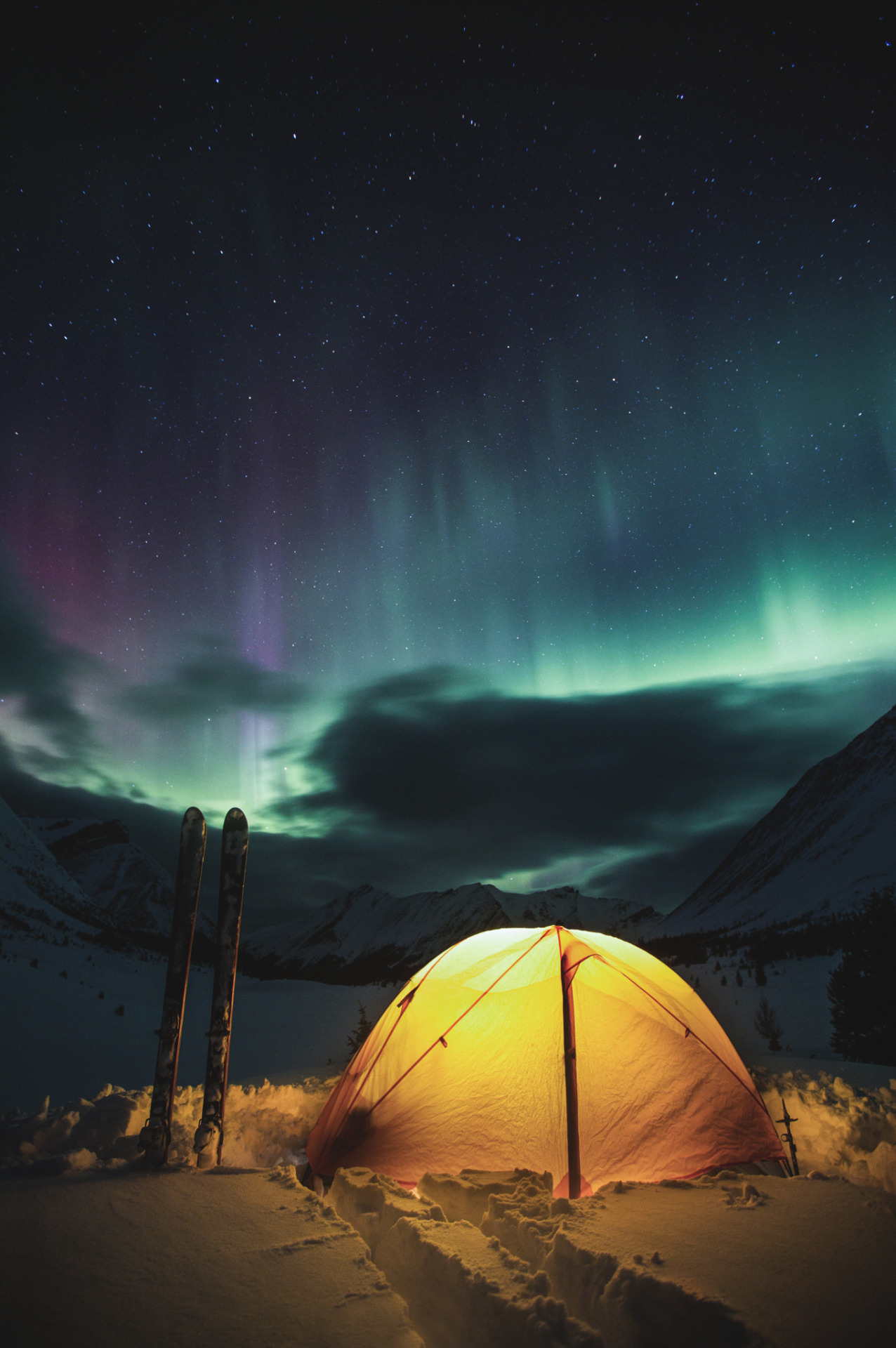 captvinvanity:
“Paul Zizka | At Home in the Wild “Edited by CaptvinVanity
” ”