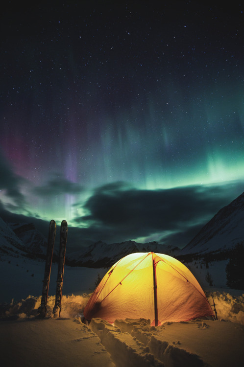 captvinvanity - Paul Zizka | At Home in the Wild Edited by...