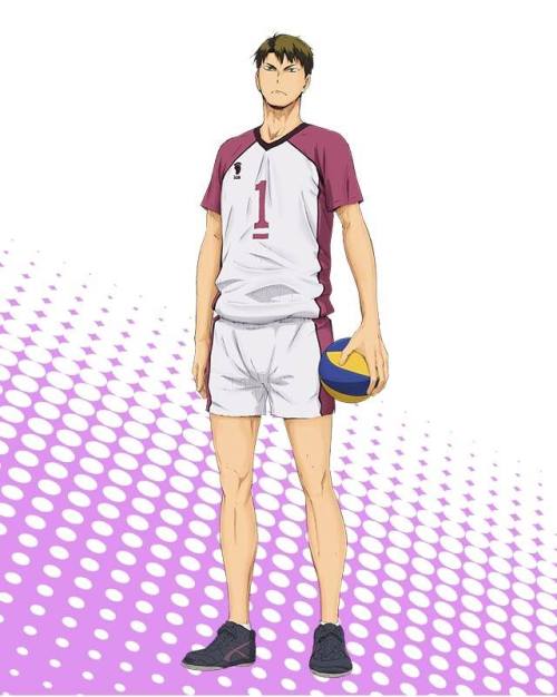 megumi86: Official anime page has been updated with Fukurodani, Nekoma and Shiratorizawa profiles. 