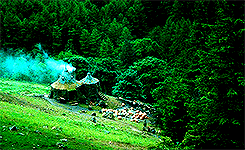 gandalfey:  Harry Potter Meme ⌲ Four Colors  Green {¼}     