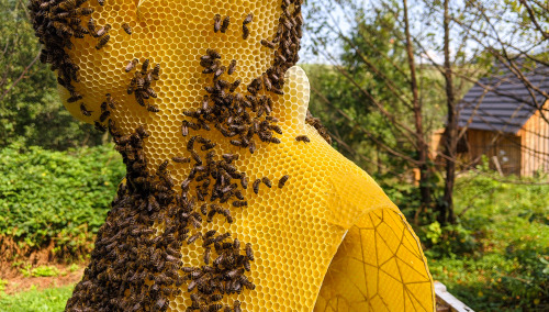 itscolossal:60,000 Bees Recreate the Nefertiti Bust and Other Classic Sculptures in Wax with Artist 