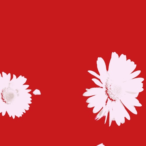 joyforachel: echo