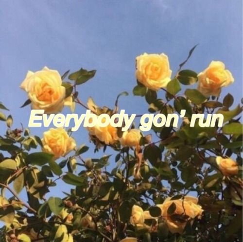 gold-EDEN  please reblog/like if using any of my posts x ;)