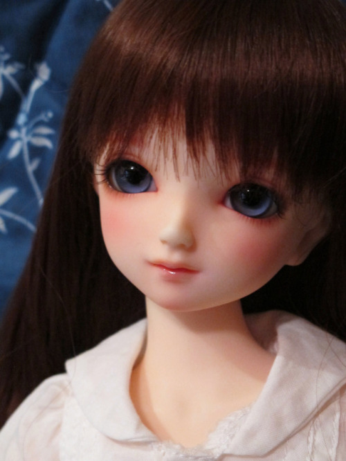 Phoebe (Volks SDMidi Standard Hina)