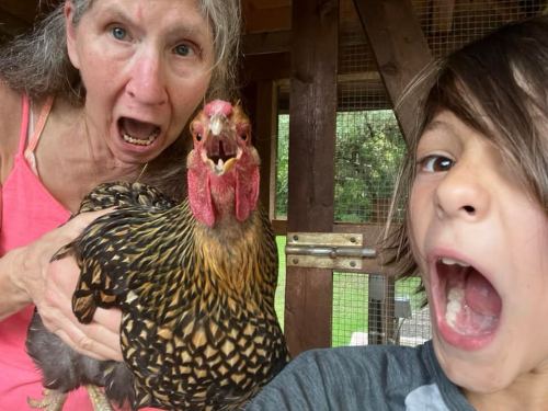 sallyavenson: My buddies Shep and Odette introduced me to their chickens and taught this city g