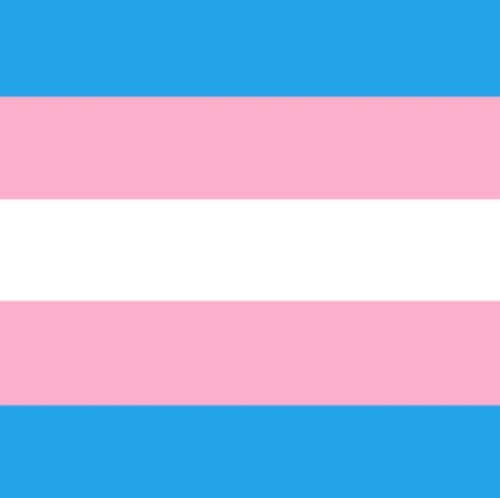 slimeandspice:Trans day of visibility stimboard in pastel!